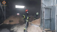 Рятувальники ліквідували пожежу деревообробного цеху у Верховинському районі.