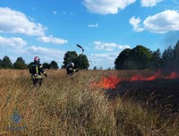 Броварський район: ліквідовано загорання трав’яного настилу та чагарників