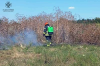 Вогнеборці Дніпропетровщини залучалися до гасіння займань в екосистемах