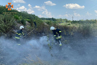 На Вінниччині за вихідні ліквідовано 15 пожеж на відкритих територіях