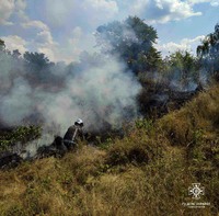 Білоцерківський район: рятувальниками ліквідовано загорання трав’яного настилу