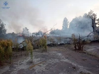 Житомирський район: упродовж минулої доби вогнеборці ліквідували дві пожежі сухої трави