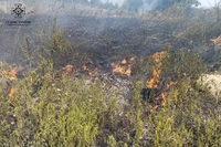 Вогнеборці Дніпропетровщини долають численні пожежі в екосистемах