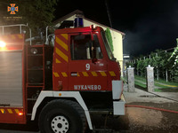 На Мукачівщині пожежа охопила надвірну споруду, однак решту обійстя рятувальники вберегли від знищення