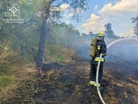 Кіровоградська область: вогнеборці ліквідували 16 займань сухостою та сміття