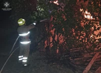 Миргородський район: рятувальники ліквідували пожежу в сіннику