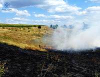 Київська область: ліквідовано загорання сухої трави