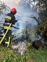 Обухівський район: ліквідовано загорання дров на приватному подвір’ї