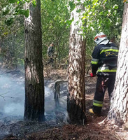 Обухівський район: рятувальники продовжують боротися з пожежами в екосистемах