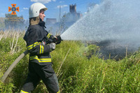 За добу на Вінниччині ліквідовано 14 пожеж в екосистемах
