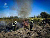 Протягом доби 22 серпня рятувальники Львівщини ліквідували 4 пожежі сухої трави та стерні