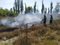 Кіровоградська область: рятувальники ліквідували 7 пожеж на відкритих територіях