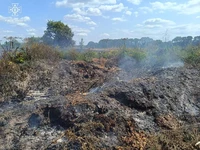 Упродовж минулої доби вогнеборці ліквідували сім пожеж сухої трави