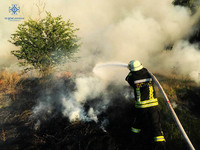 Київська область: рятувальники продовжують боротися з пожежами в екосистемах