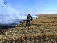 Кіровоградська область: рятувальники ліквідували 12 пожеж сухостою на відкритих територіях