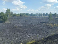 Упродовж минулої доби вогнеборці ліквідували 9 пожеж сухої трави