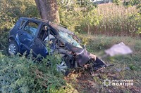 Черкаські слідчі встановлюють обставини ДТП, в якій загинув водій
