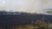 Упродовж доби вогнеборці області ліквідували 9 загорянь сухої рослинності на загальній площі 12,6 га