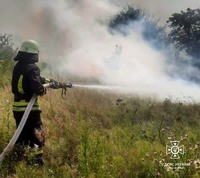 Броварський район: рятувальниками ліквідовано загорання трав’яного настилу