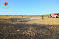 Рятувальники продовжують ліквідовувати займання сухої трави