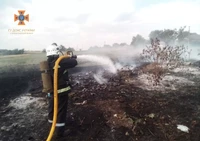 Кіровоградська область: рятувальники ліквідували 11 пожеж сухостою на відкритих територіях