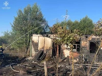 За добу рятувальниками ліквідовано 9 пожеж сухої трави