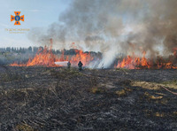 На Вінниччині під час пожежі в екосистемі травмовано людину