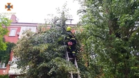 Кіровоградські рятувальники ліквідовували наслідки погіршення погодних умов