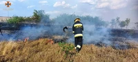 Кіровоградська область: рятувальники 9 разів залучались на гасіння пожеж сухостою на відкритих територіях