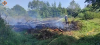 Вогнеборці ліквідували пожежу сухого гілля в Угринівській ТГ