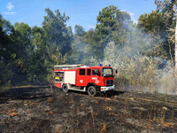 Броварський район: рятувальники продовжують боротися з пожежами в екосистемах