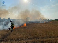 Київська область: ліквідовано пожежі в екосистемах