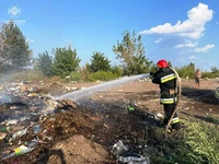 Кіровоградська область: рятувальники ліквідували 14 пожеж сухої трави та сміття