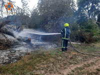 За добу рятувальники ліквідували 12 загорянь в природних екосистемах