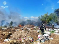Кіровоградська область: рятувальники ліквідували 11 пожеж сухої трави та сміття на відкритих територіях
