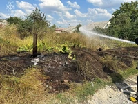 Впродовж доби вогнеборцями ліквідовано 15 загорянь сухої рослинності