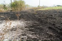 Упродовж минулої доби вогнеборці Чернігівщини ліквідували 15 пожеж в житловому секторі, під час яких 1 людина загинула, ще 1 травмована