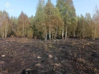 Впродовж доби вогнеборці ліквідували п'ять пожеж сухої рослинності