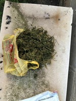 У Кривому Розі  під час обшуку у 43-річної жінки поліцейські вилучили рослини конопель та сушений канабіс