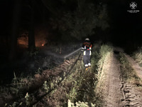 Київська область: впродовж доби рятувальники ліквідували 31 пожежу в природних екосистемах