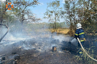 На Вінниччині ліквідовано 5 пожеж в екосистемах