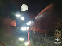 Кіровоградська область: пожежно-рятувальні підрозділи 7 разів залучались на гасіння загорань сухостою та сміття на відкритих територіях