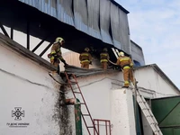Миколаївська область: рятувальники ліквідували пожежу на підприємстві