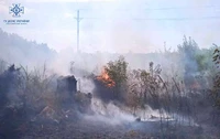 Житомирська область: за добу рятувальниками ліквідовано 8 пожеж сухої трави