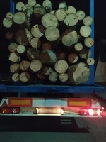 Вилучили деревини на понад 100 тисяч гривень: поліція Рахівщини відкрила кримінальне провадження за фактом злочину проти довкілля