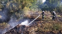 Білоцерківський район: ліквідовано загорання сміття та сухої рослинності