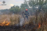 Синельниківський район: вогнеборці ліквідували займання на відкритій території
