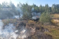 Чернігівщина: внаслідок пожежі сухої трави травмувався чоловік