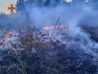 За минулу добу на території області рятувальники ліквідували 7 пожеж в екосистемах