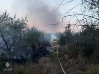 Миколаївська область: на пожежі травмувався чоловік